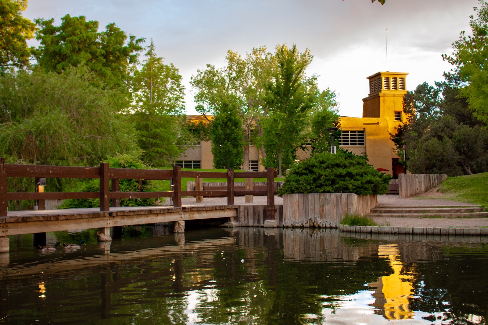 Pond on the campus of the University of New Mexico