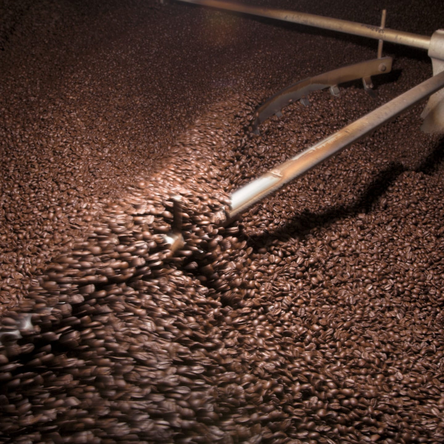 coffee roaster full of beans